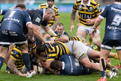 Stade Montois Rugby - Colomiers