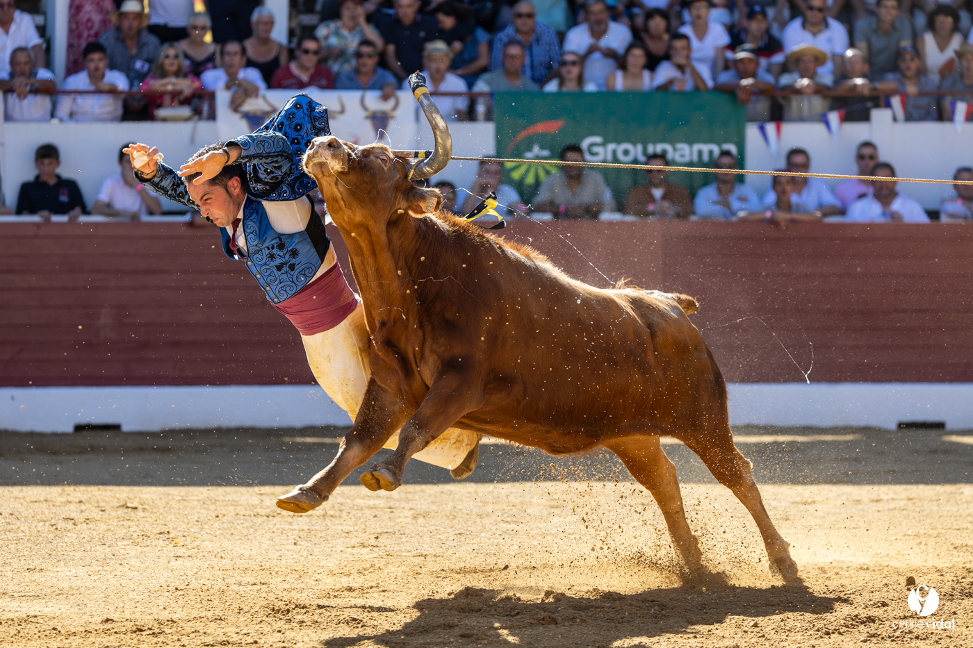 Aire-sur-l'Adour Championnat de France de course landaise 2023