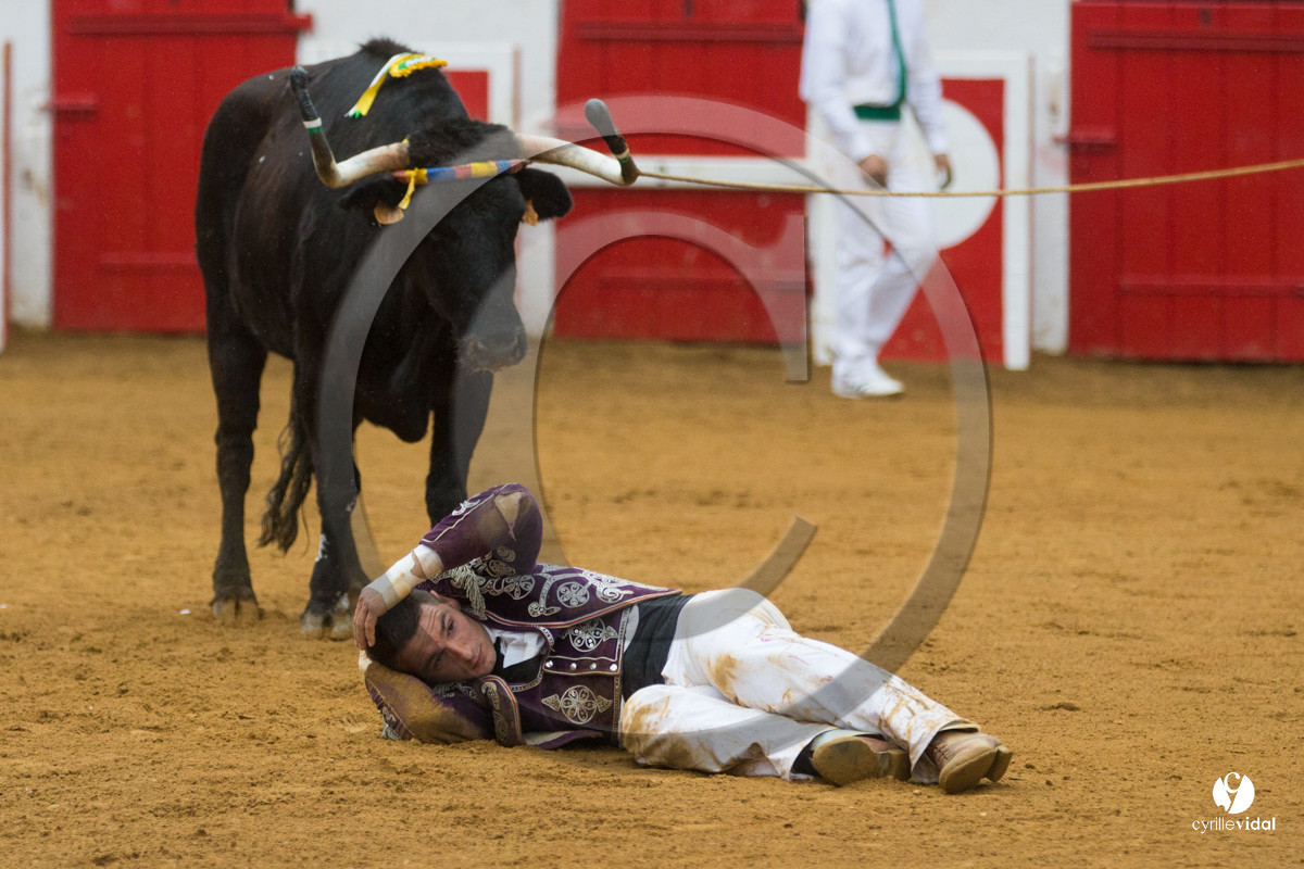 Nogaro Championnatde France de Course Landaise 2017