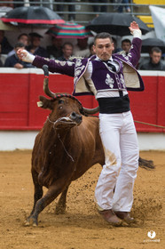 Nogaro Championnatde France de Course Landaise 2017