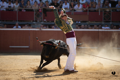 Mont-de-Marsan championnat de France de course landaise 2019