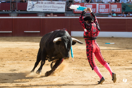 Mont-de-Marsan corrida de Dolores Aguirre pour Octavio Chacon - Pepe Moral - Juan Léal