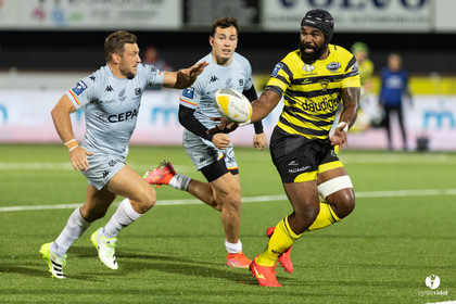 Stade Montois Rugby - Provence