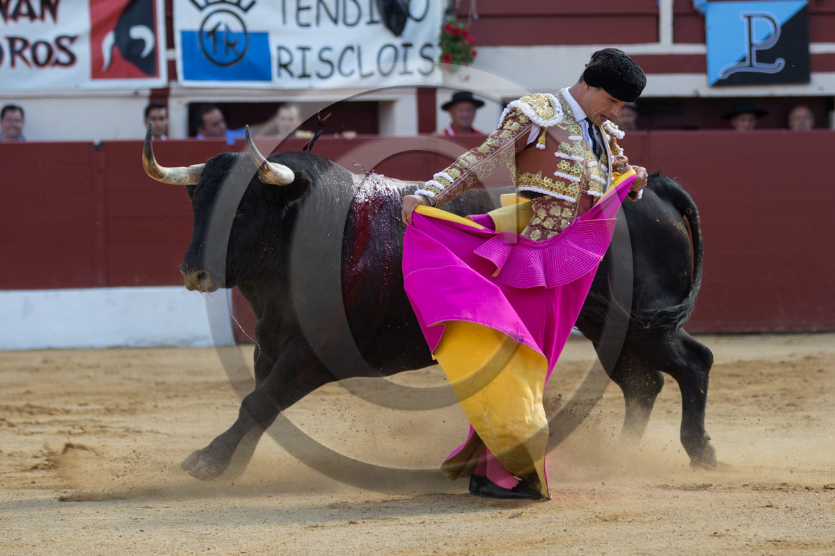 corrida, toro, vic fezensac, alcurrucen, michelito, morenito de aranda