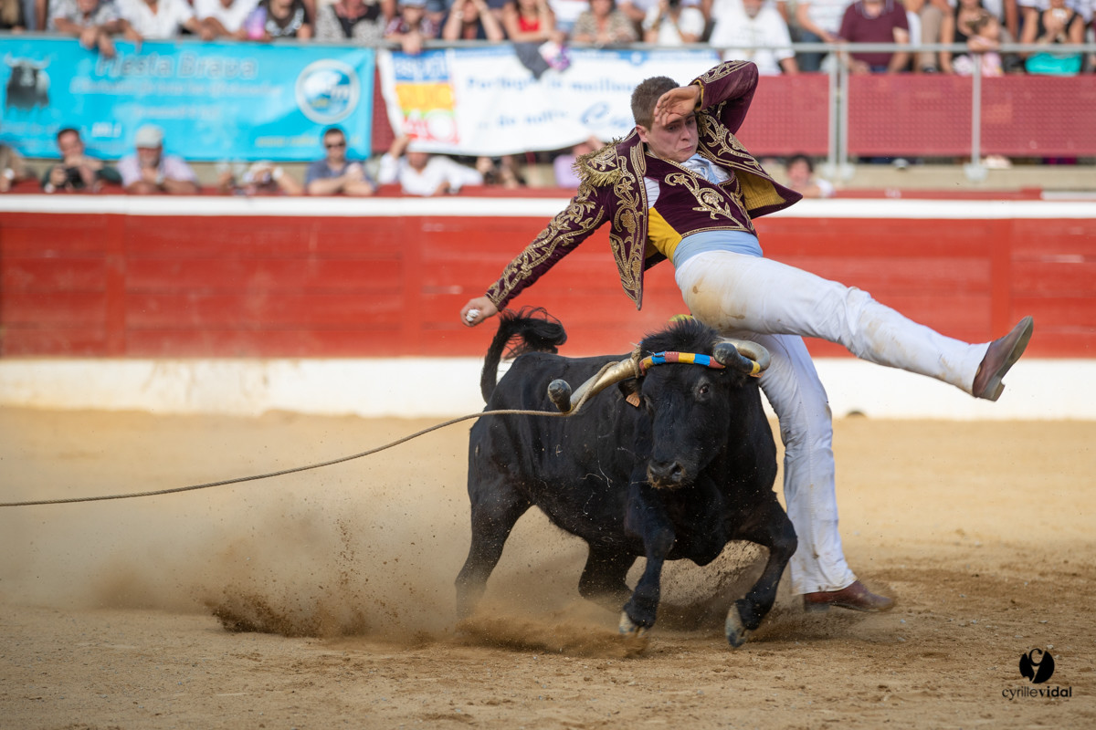 Mont-de-Marsan championnat de France de course landaise 2019