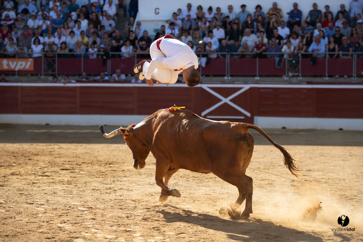 Mont-de-Marsan championnat de France de course landaise 2019