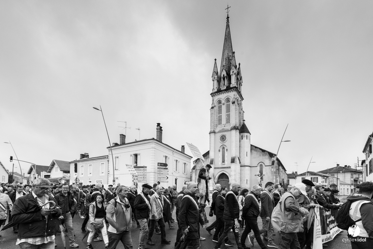Manifestation chasses traditionnelles à Mont-de-Marsan