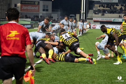Stade Montois Rugby - Provence