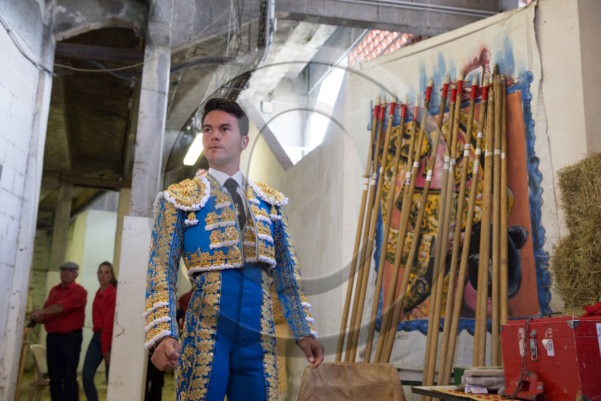 corrida, toro, vic fezensac, alcurrucen, michelito, morenito de aranda