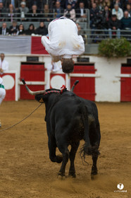 Nogaro Championnatde France de Course Landaise 2017