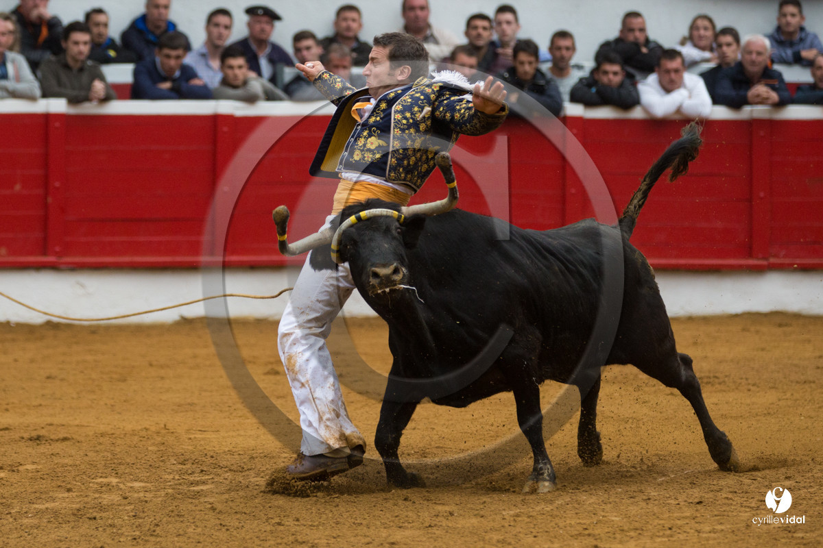 Nogaro Championnatde France de Course Landaise 2017