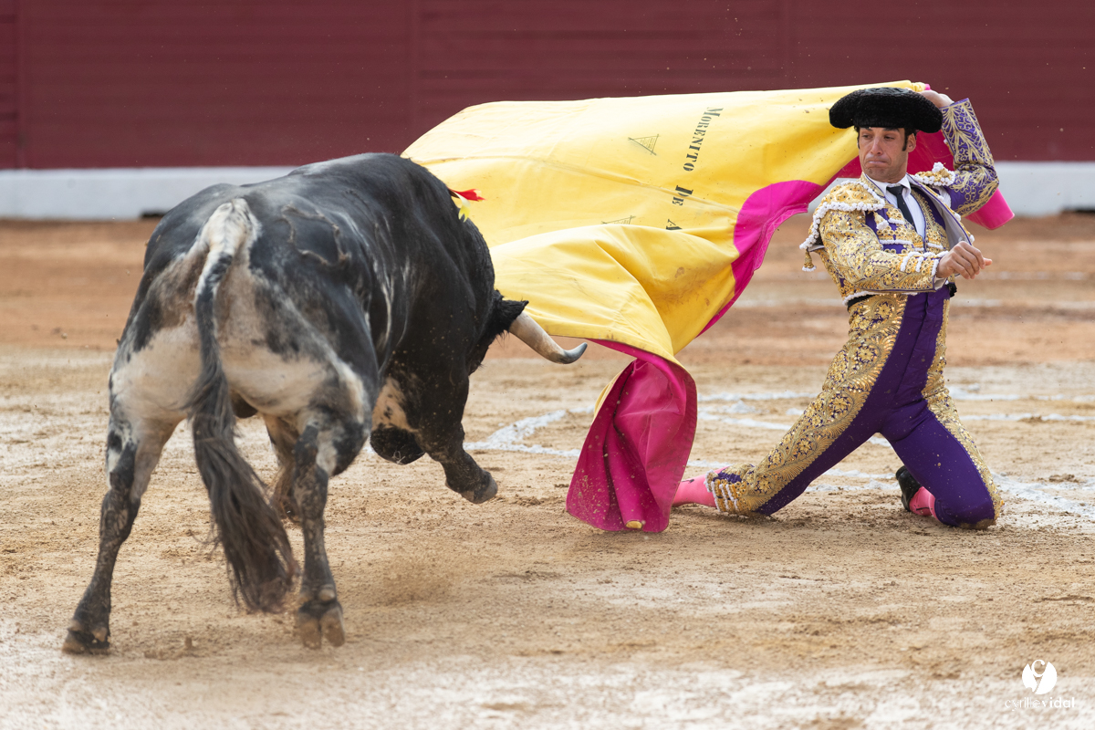 Corrida d'Aire sur l'Adour
