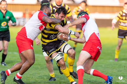 Stade Montois Rugby - Biarritz