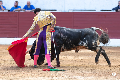 Corrida d'Aire sur l'Adour