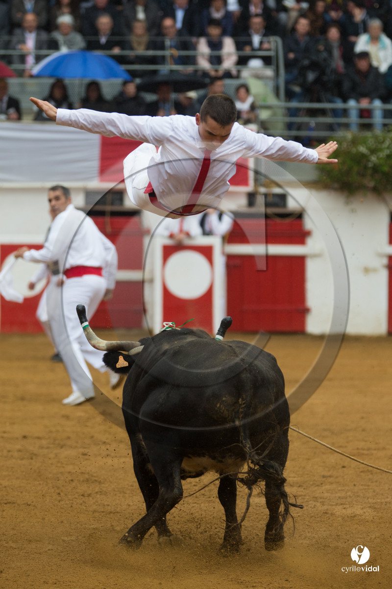 Nogaro Championnatde France de Course Landaise 2017