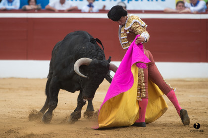 Mont-de-Marsan corrida de Garcigrande pour El Juli et Juan Bautista