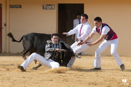 Course landaise Le Houga Ganadéria Dussau Cuadrilla Alexandre Brethes