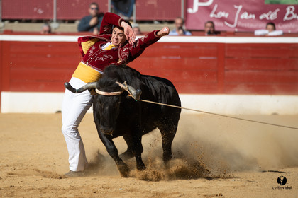 Mont-de-Marsan championnat de France de course landaise 2019