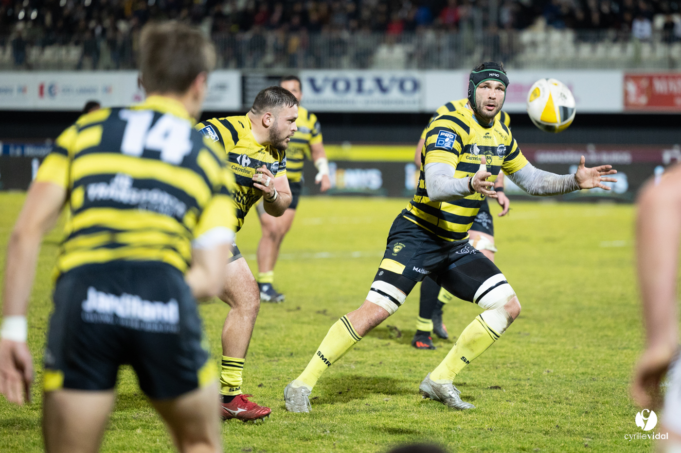 Stade Montois Rugby - Vannes