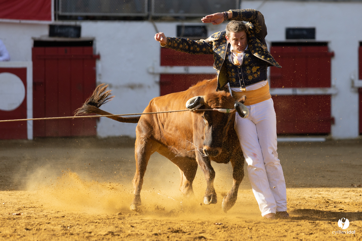 Nogaro Championnat de France de course landaise 2022