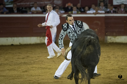 Mont-de-Marsan festival Art et Courage