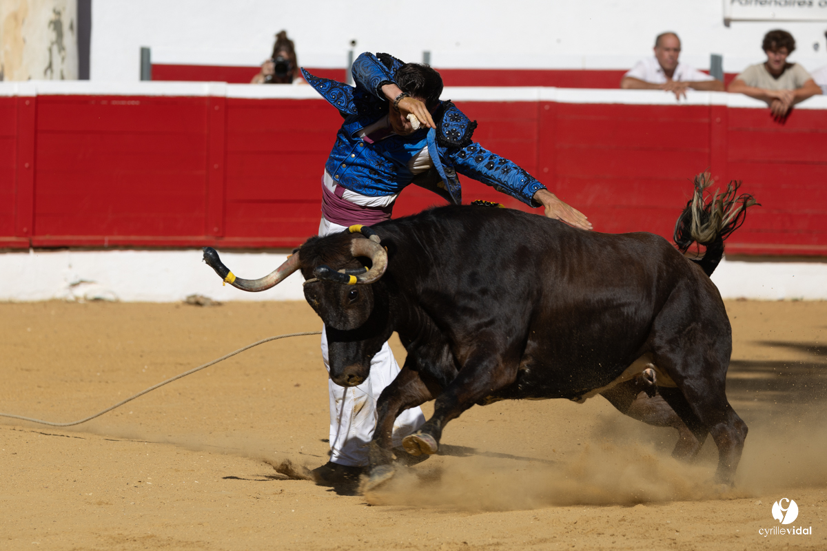 Nogaro Corne d'Or 2023