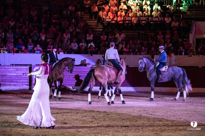 Landes émotions à Aire-sur-l'Adour