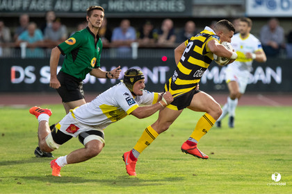Stade Montois Rugby - Carcassonne