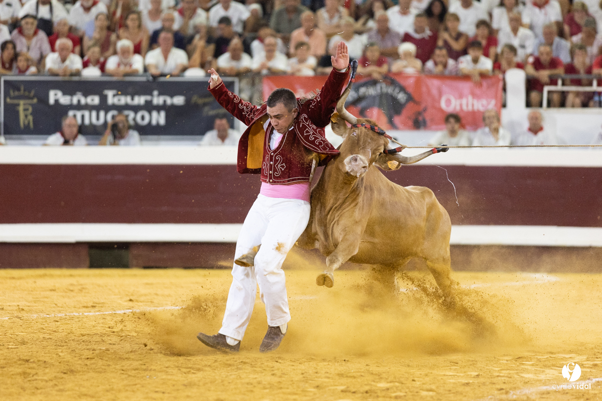 Dax concours landais 2022