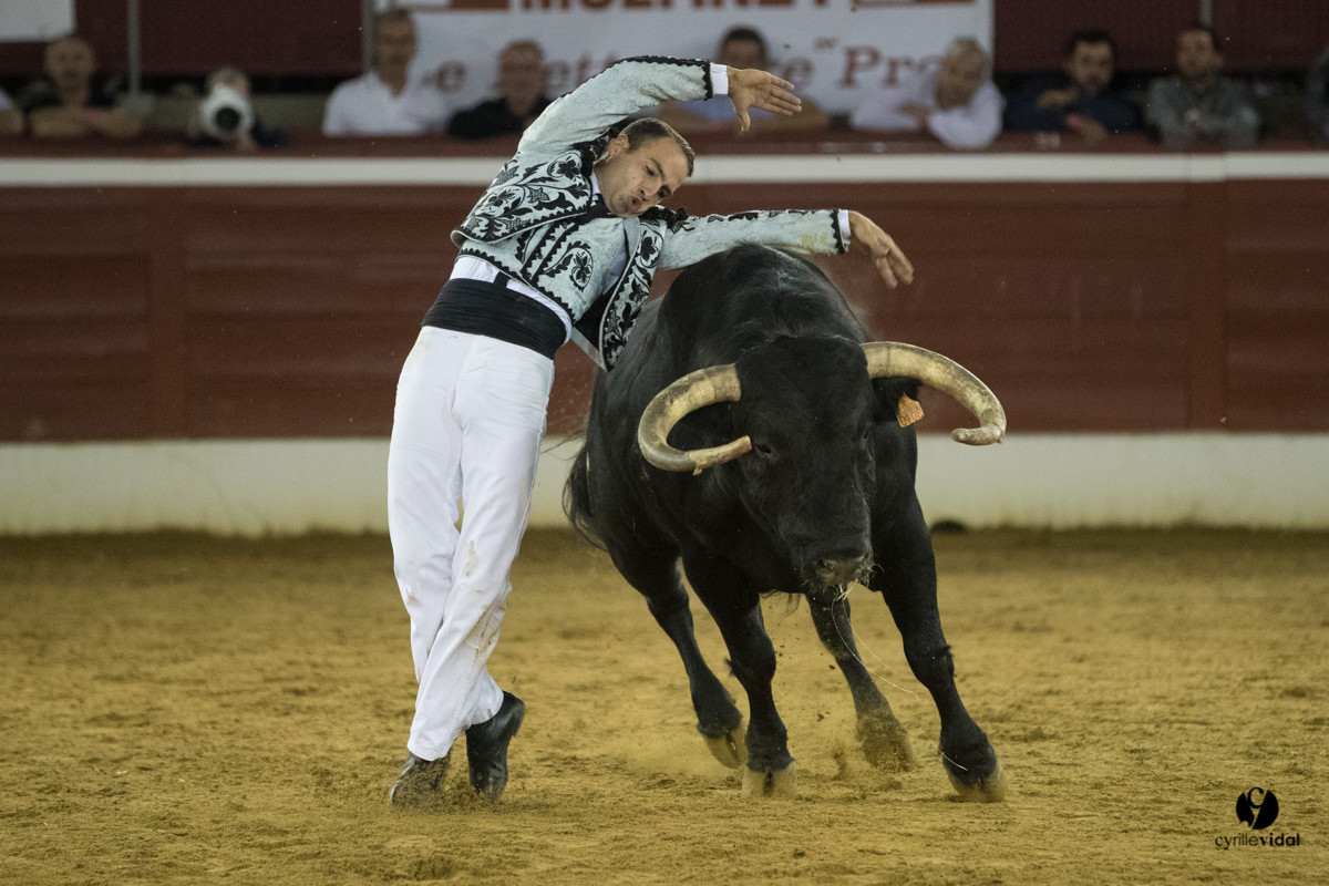 Mont-de-Marsan festival Art et Courage