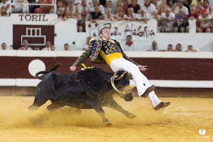 Dax concours landais 2022