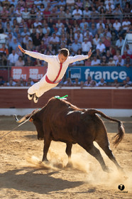 Mont-de-Marsan championnat de France de course landaise 2019