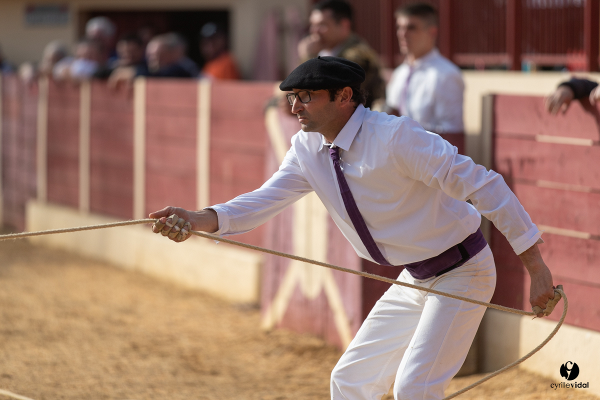 Course landaise Le Houga Ganadéria Dussau Cuadrilla Alexandre Brethes