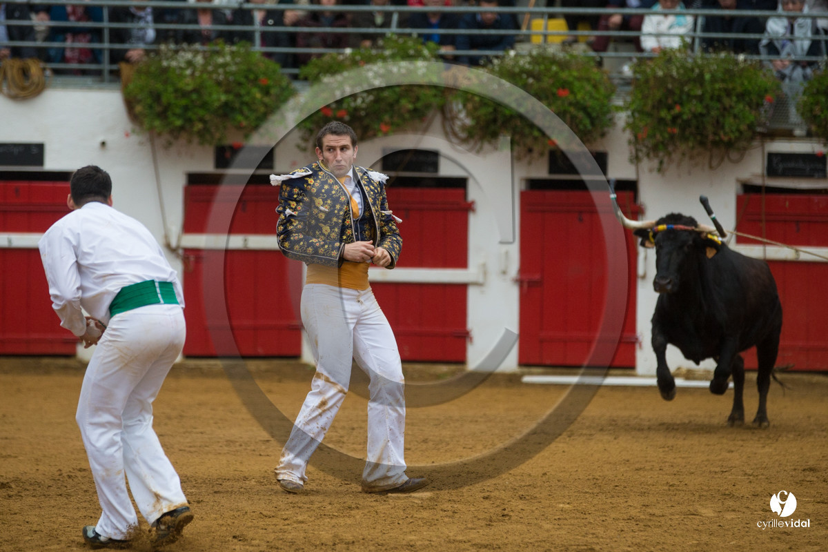 Nogaro Championnatde France de Course Landaise 2017