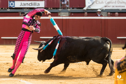 Mont-de-Marsan corrida de Jandilla pour Padilla - Talavante - Roca Rey