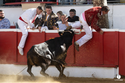 Nogaro Championnat de France de course landaise 2022