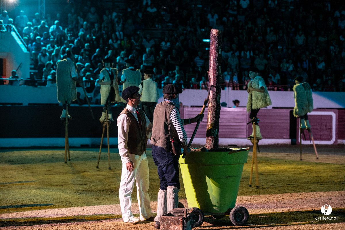 Landes émotions à Aire-sur-l'Adour