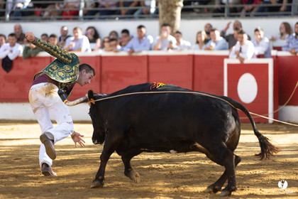 Nogaro Championnat de France de course landaise 2022