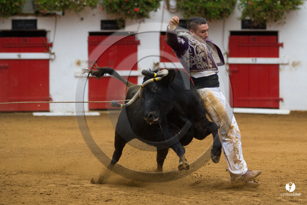 Nogaro Championnatde France de Course Landaise 2017