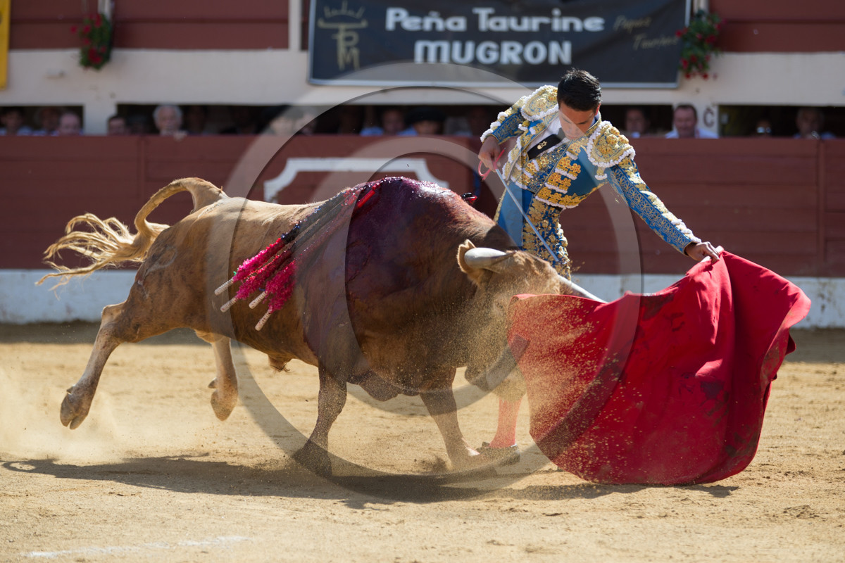 corrida, toro, vic fezensac, alcurrucen, michelito, morenito de aranda