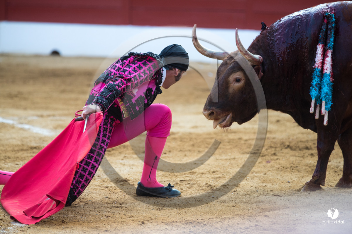 Mont-de-Marsan corrida de Jandilla pour Padilla - Talavante - Roca Rey