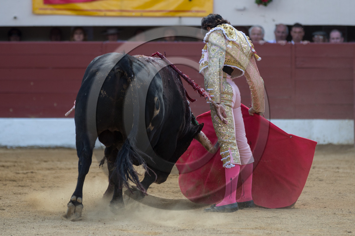 corrida, toro, vic fezensac, alcurrucen, michelito, morenito de aranda