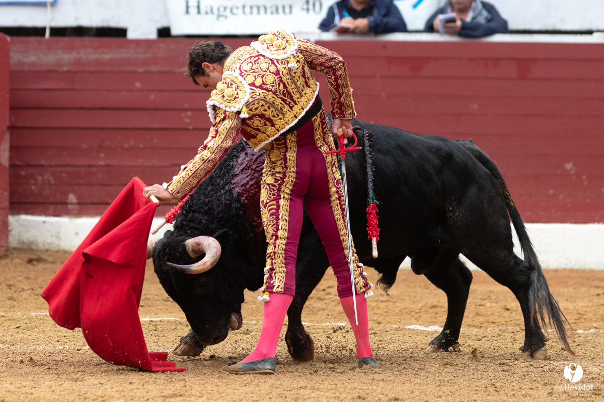 Corrida d'Aire sur l'Adour