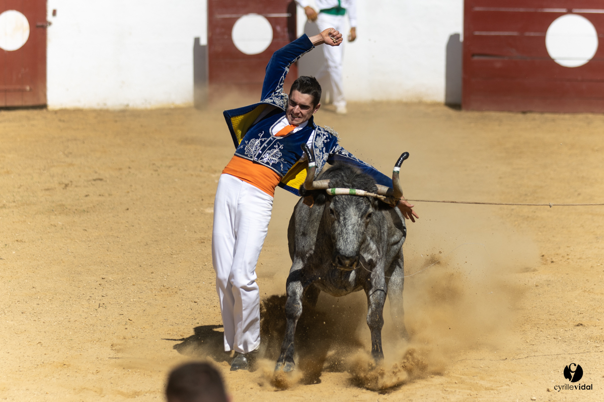 Saint-Cricq Chalosse course landaise de promotion Ganadéria Deyris Cuadrilla Jérémy Lafitte
