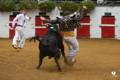 Nogaro Championnatde France de Course Landaise 2017