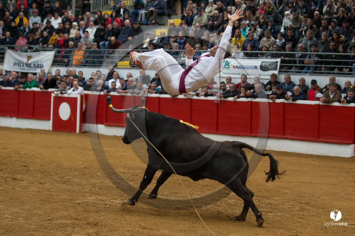 Nogaro Championnatde France de Course Landaise 2017