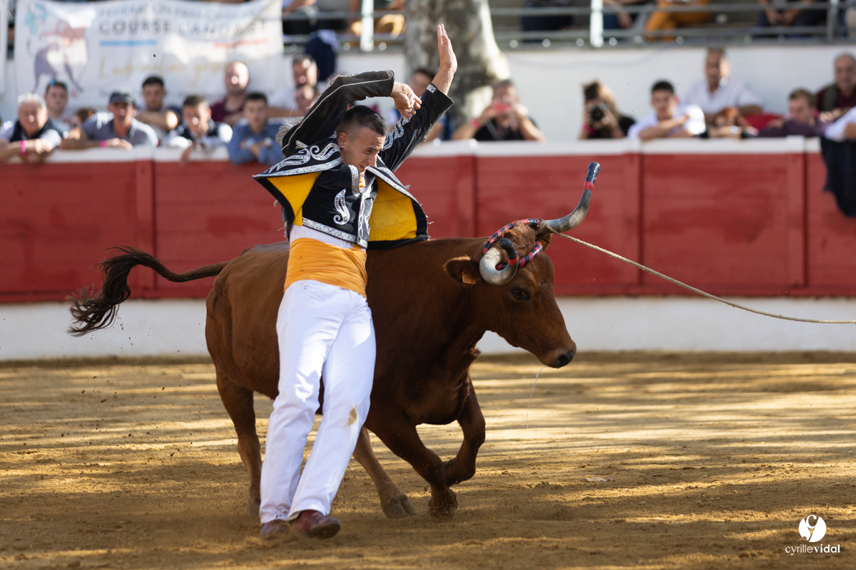 Nogaro Championnat de France de course landaise 2022