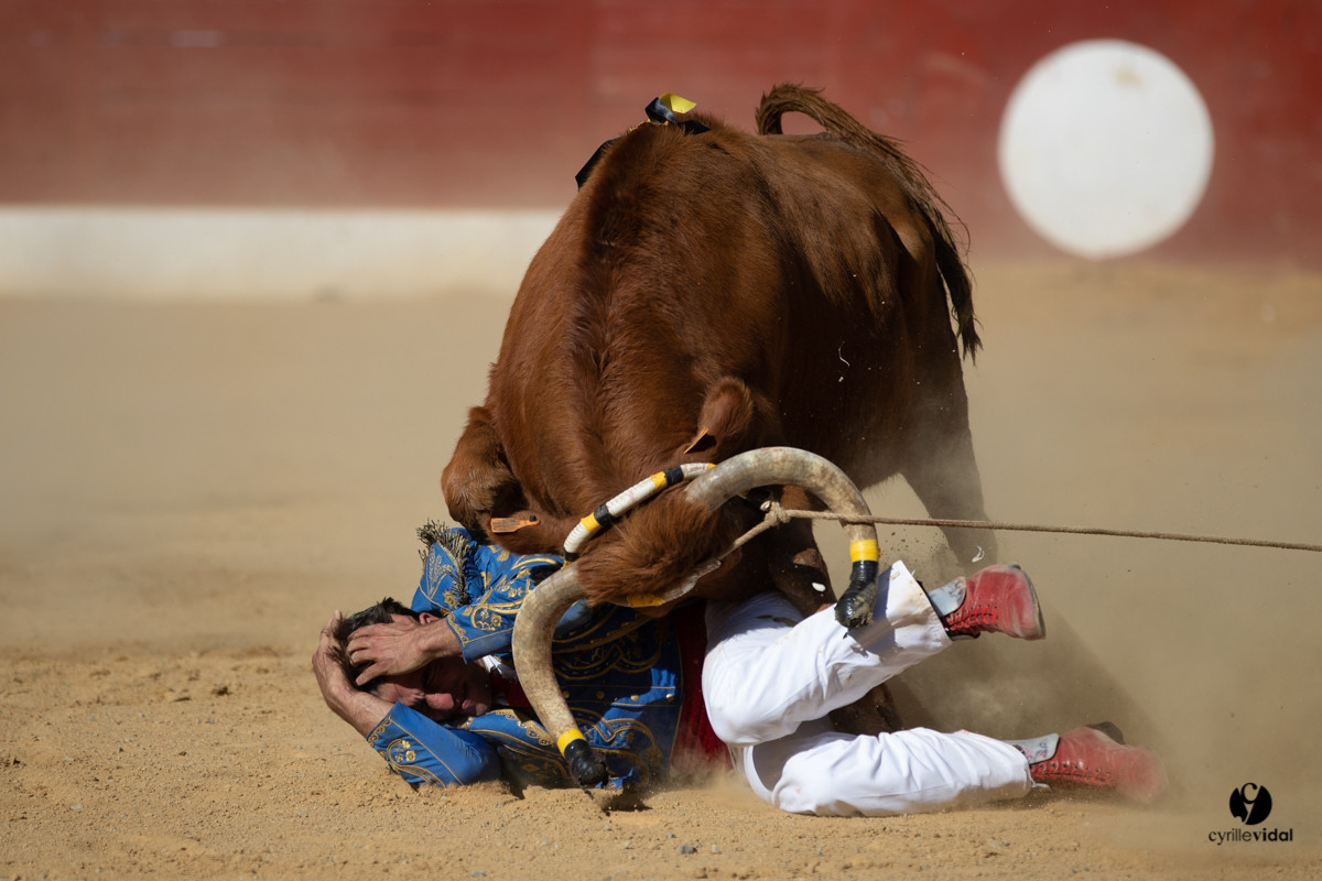 Mont-de-Marsan championnat de France de course landaise 2019