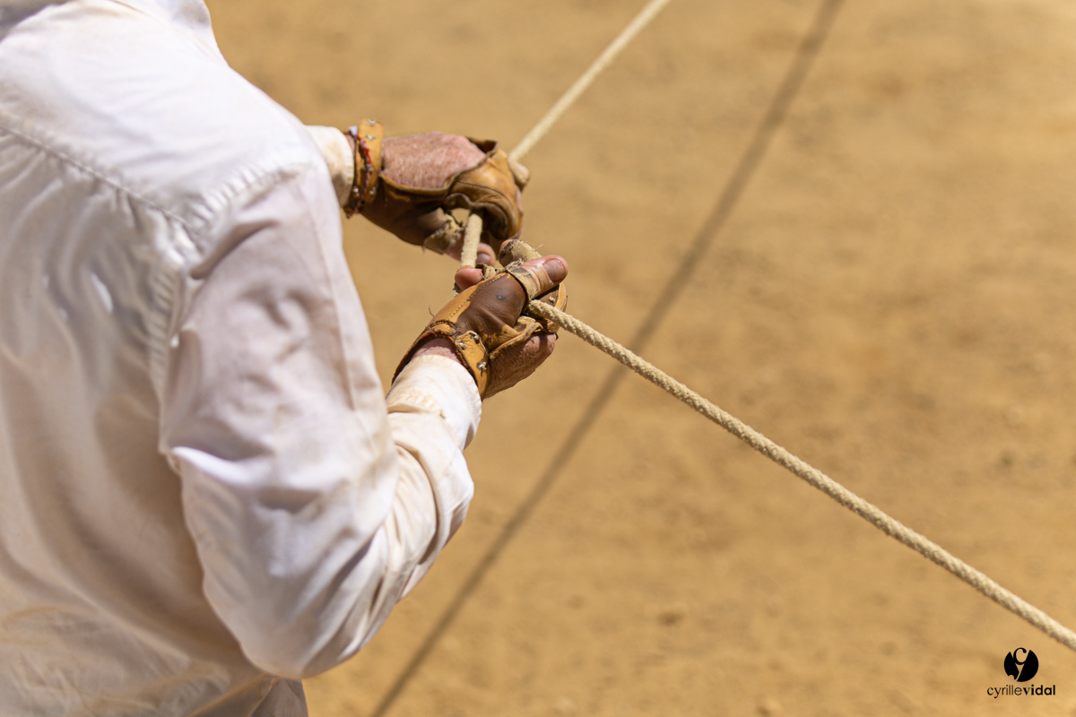 Saint-Cricq Chalosse course landaise de promotion Ganadéria Deyris Cuadrilla Jérémy Lafitte