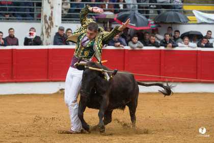 Nogaro Championnatde France de Course Landaise 2017
